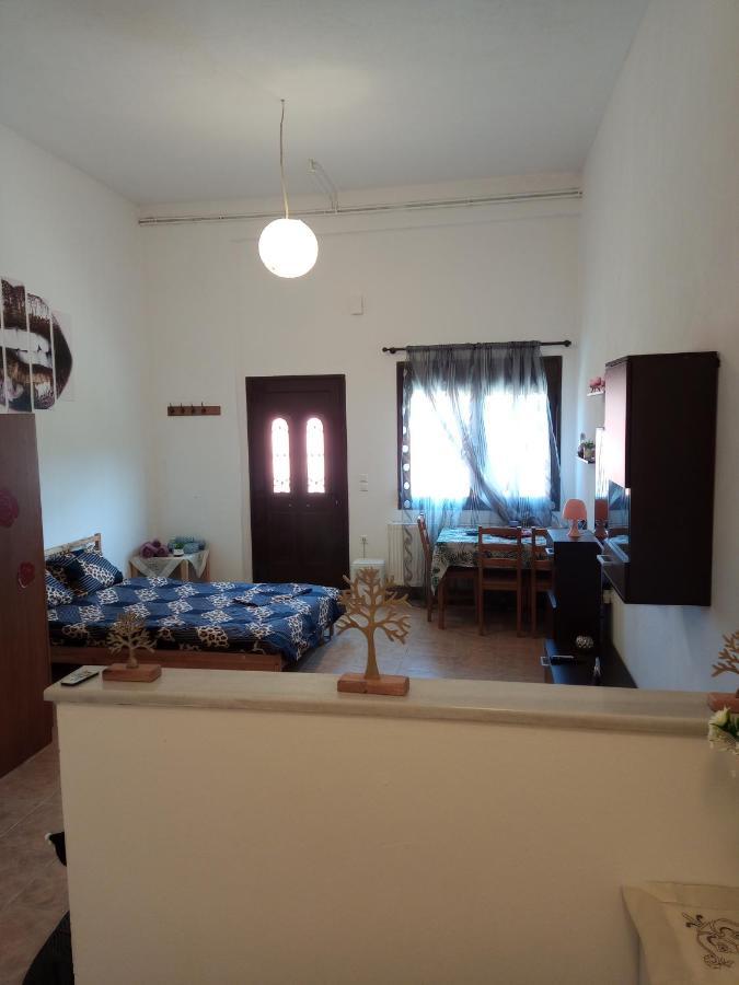 Tzoumerka Panorama 普拉曼塔 外观 照片